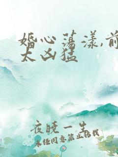 婚心荡漾,前夫太凶猛