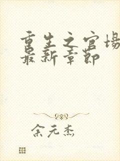 重生之官场风流最新章节