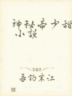 神秘帝少甜宠妻 小说