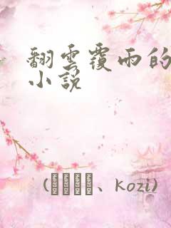 翻云覆雨的秘密小说