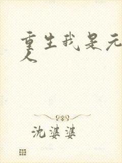 重生我是元帅夫人