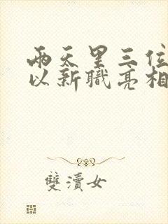 两天里三位将军以新职亮相