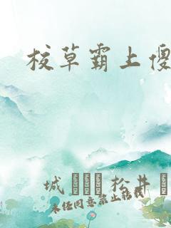 校草霸上傻丫头