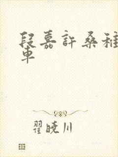 段嘉许桑稚浴室车