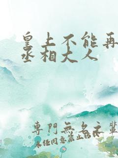 皇上不能再进了丞相大人