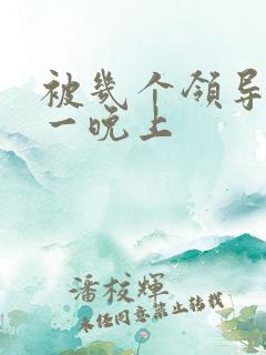 被几个领导玩弄一晚上