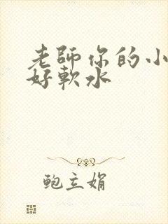 老师你的小兔子好软水