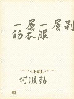 一层一层剥开我的衣服