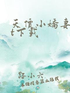 天价小娇妻txt下载