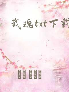 武魂txt下载