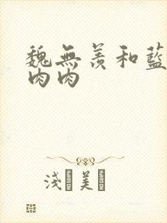 魏无羡和蓝忘机肉肉