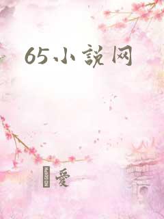 65小说网