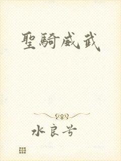 圣骑威武