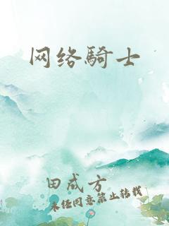网络骑士
