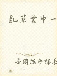 乱草丛中一杆枪