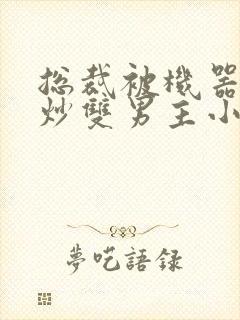 总裁被机器人爆炒双男主小说