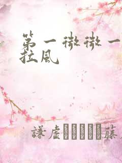 第一微微一笑很拉风