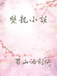 双龙小说