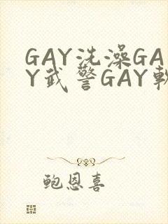 GAY洗澡GAY武警GAY软件
