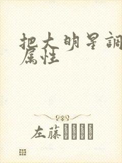 把大明星调成专属性