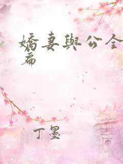 娇妻与公全集长篇