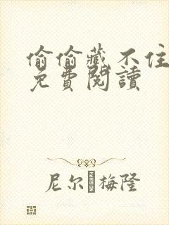 偷偷藏不住小说免费阅读