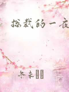 总裁的一夜情人