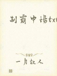 制霸中场txt