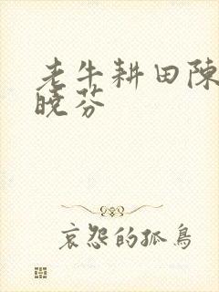 老牛耕田陈雪杨晓芬