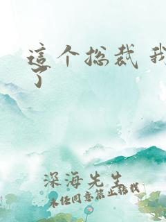 这个总裁 我要了