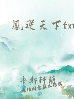 凤逆天下txt