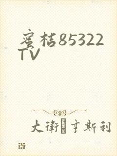 蜜桔85322TV