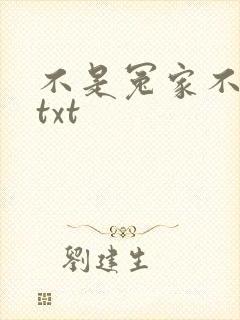 不是冤家不聚头txt