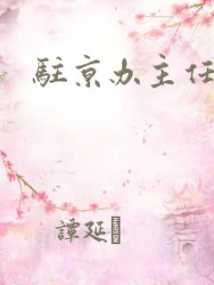 驻京办主任对手