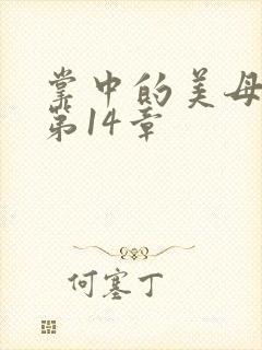 掌中的美母版主第14章