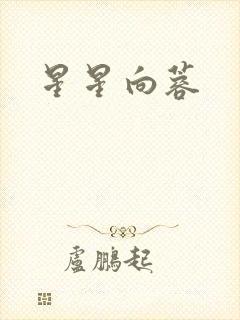 星星向蓉