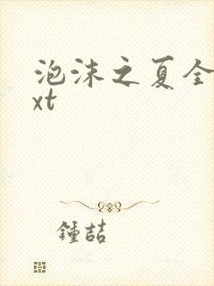 泡沫之夏全集txt