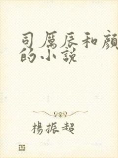 司厉辰和颜辞兮的小说