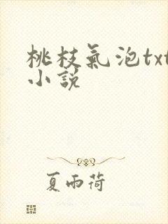 桃枝气泡txt小说