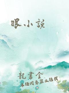 眼小说