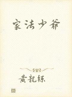 家法少爷