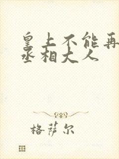 皇上不能再进了丞相大人