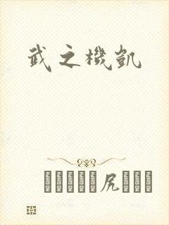 武之机凯