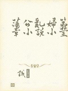 荡公乱妇第51章小说小莹