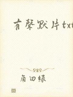 有声默片txt