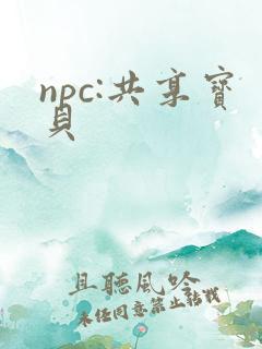 npc:共享宝贝