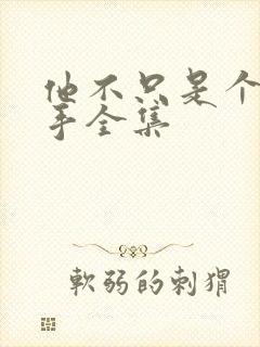 他不只是个狙击手全集