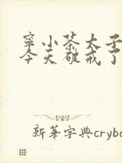 宁小茶太子殿下今天破戒了吗免费阅读