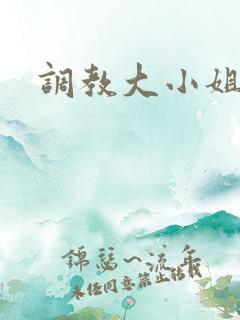 调教大小姐