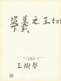 盗墓之王txt下载